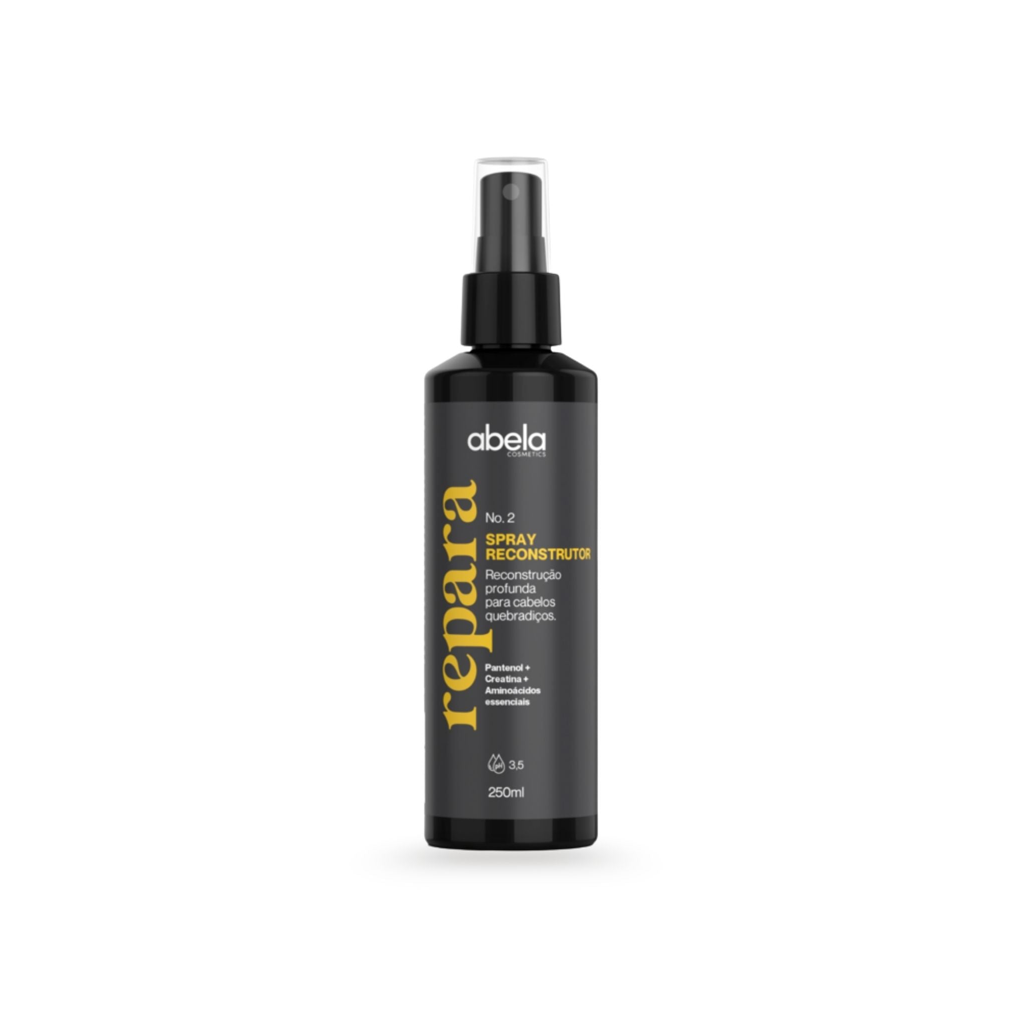 Spray Repara 250mL - Abela